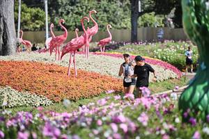 BIB: 
                            <button type="button" onclick="openModal(27794050)" class="btn btn-primary btn-sm float-right btn-popup" data-toggle="modal" data-target=".modal-high-quality">
                        <i class="fas fa-shopping-cart"></i> Add to Cart
                    </button>
                                            <button type="button" onclick="isThisMe(27794050, true)" class="btn btn-success btn-sm float-right btn-popup btn-isme hidden" data-toggle="tooltip" data-placement="bottom" title="นี่คือรูปของคุณใช่ไหม คลิกที่นี่เพื่อเอาเข้าอัลบั้ม">
                        <i class="fas fa-plus"></i> Add to album
                    </button>
                    <button type="button" onclick="isThisMe(27794050, false)" class="btn btn-warning btn-sm float-right btn-popup btn-isnotme hidden">
                        <i class="fas fa-ban"></i> Remove from album
                    </button>